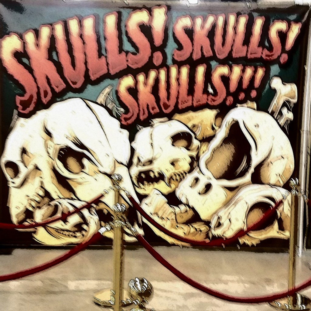 A somewhat blurry banner (I took a bad picture) featuring an illustrated pile of skulls and the title "Skulls! Skulls! Skulls!!!" stands behind a set of velvet ropes.