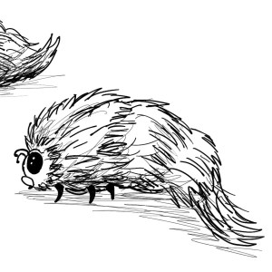 A digital sketch of a very fuzzy caterpillar with shiny black eyes. 
